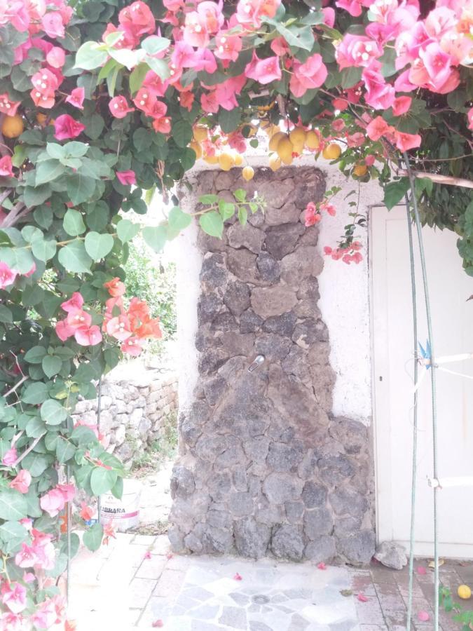Gromano Apartments Ischia Extérieur photo
