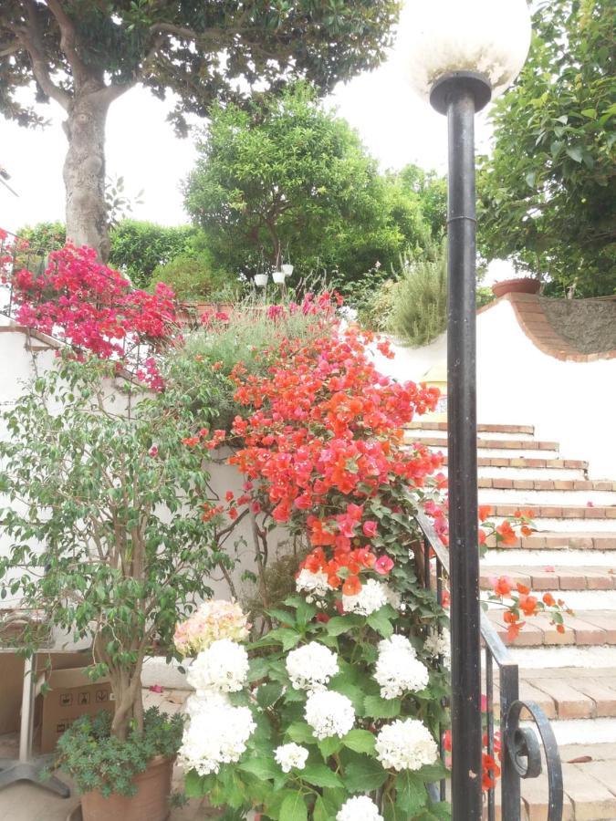 Gromano Apartments Ischia Extérieur photo