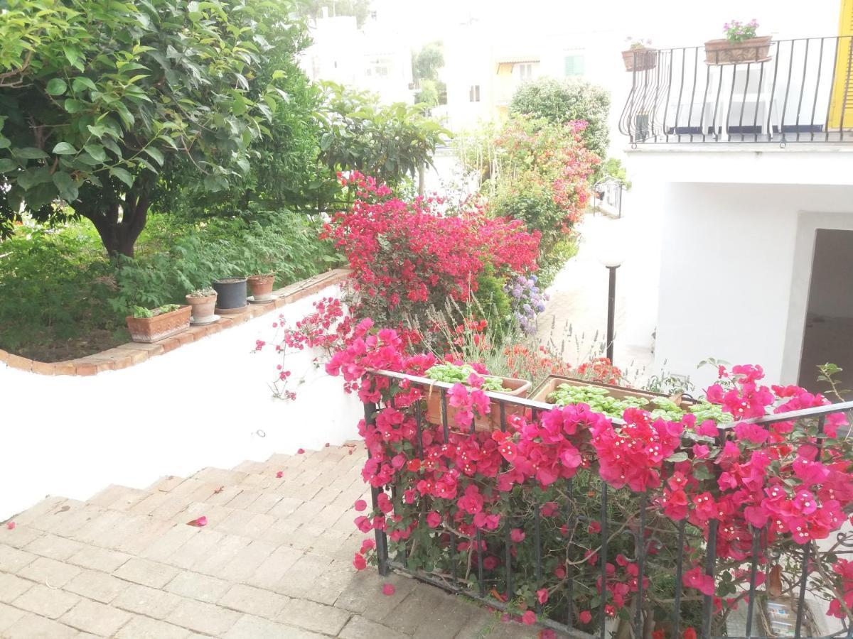 Gromano Apartments Ischia Extérieur photo
