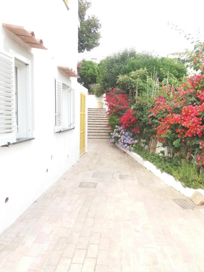 Gromano Apartments Ischia Extérieur photo